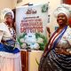Projeto Agô Bahia