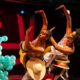 Desde 2000, a Áttomos Cia. de Dança se faz presente na cena baiana e nacional como um território de invenção.