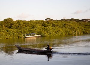 Alexandre - Maragogipinho/Taperoá